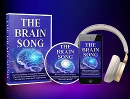 the brain song book