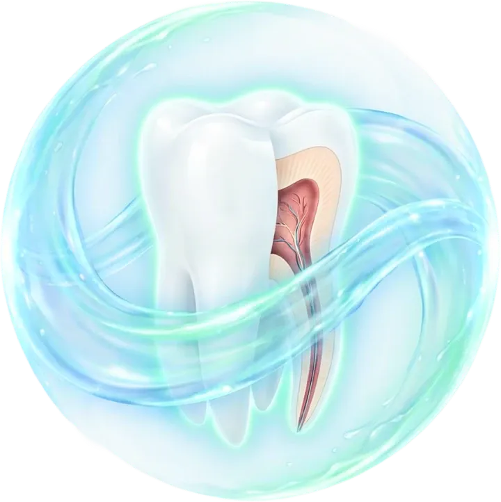 fresh and strong teeth