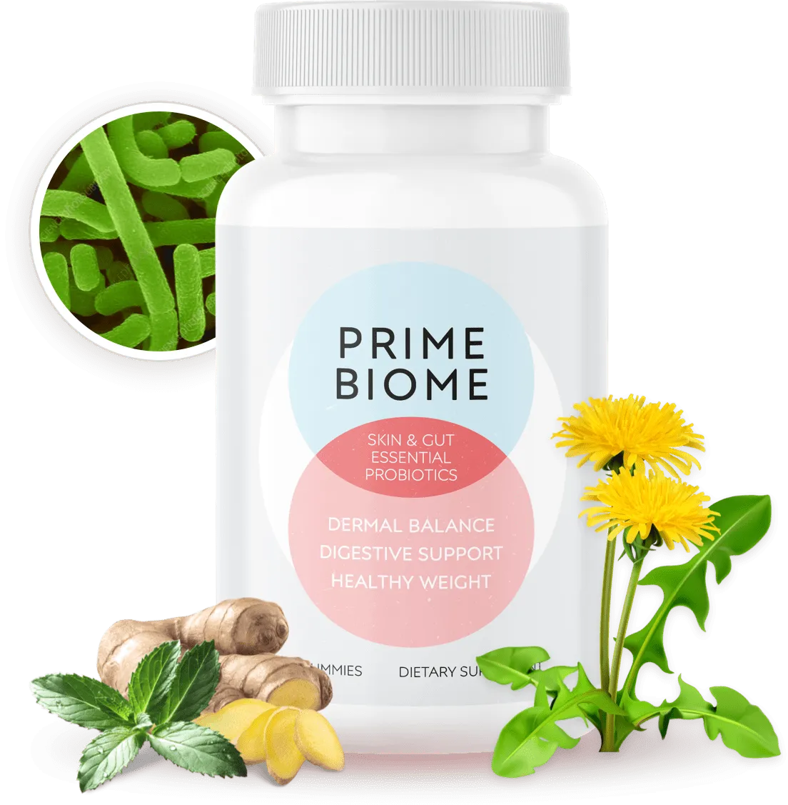 prime biome open prompt